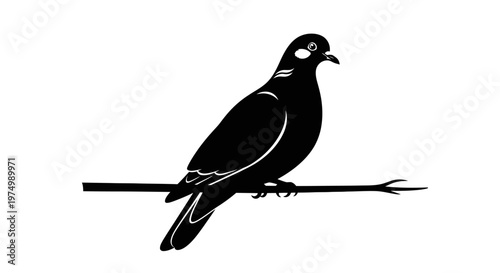 Black bird, pigeon silhouette, sitting on branch, monochrome illustration, animal icon