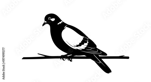Bird silhouette, black and white illustration, pigeon on branch, vector graphic