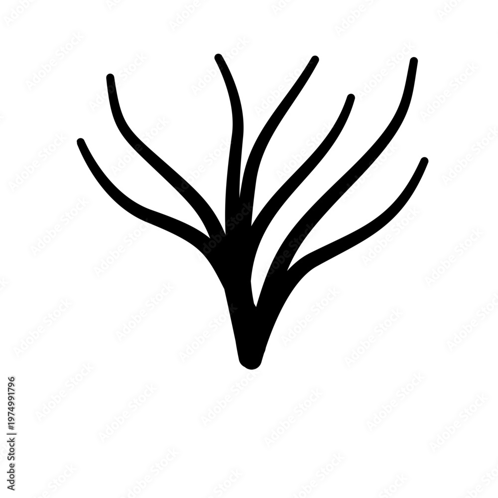 Obraz premium Shilouette twigs