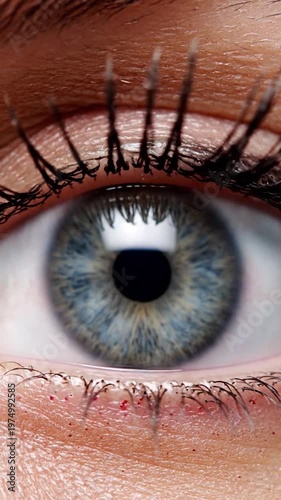 A detailed close up view of a human eye showing the iris and eyelashes in sharp focus