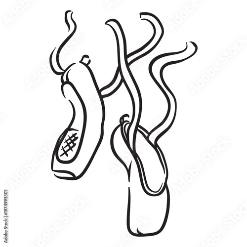 Ballet shoes with ribbon