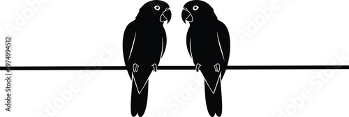 Parrot Couple Sitting on Wire Silhouette Vector Illustration Exotic Bird Pair Minimal Wildlife Design Isolated on White Background for Nature Graphics