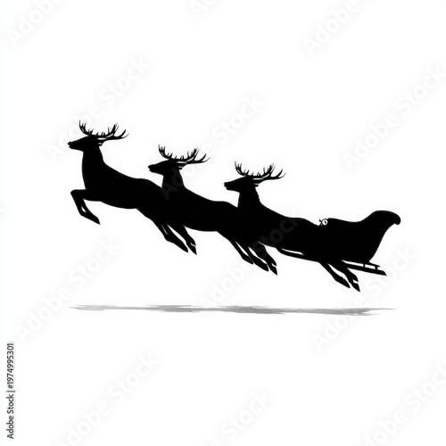 Fine Sleigh silhouette flying