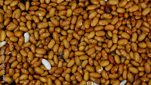 Panoramic view of a large quantity of beans. Concept of plant-based nutrition, vegetarian food, and a rich source of vegetable protein. Healthy eating, natural food, and organic products.