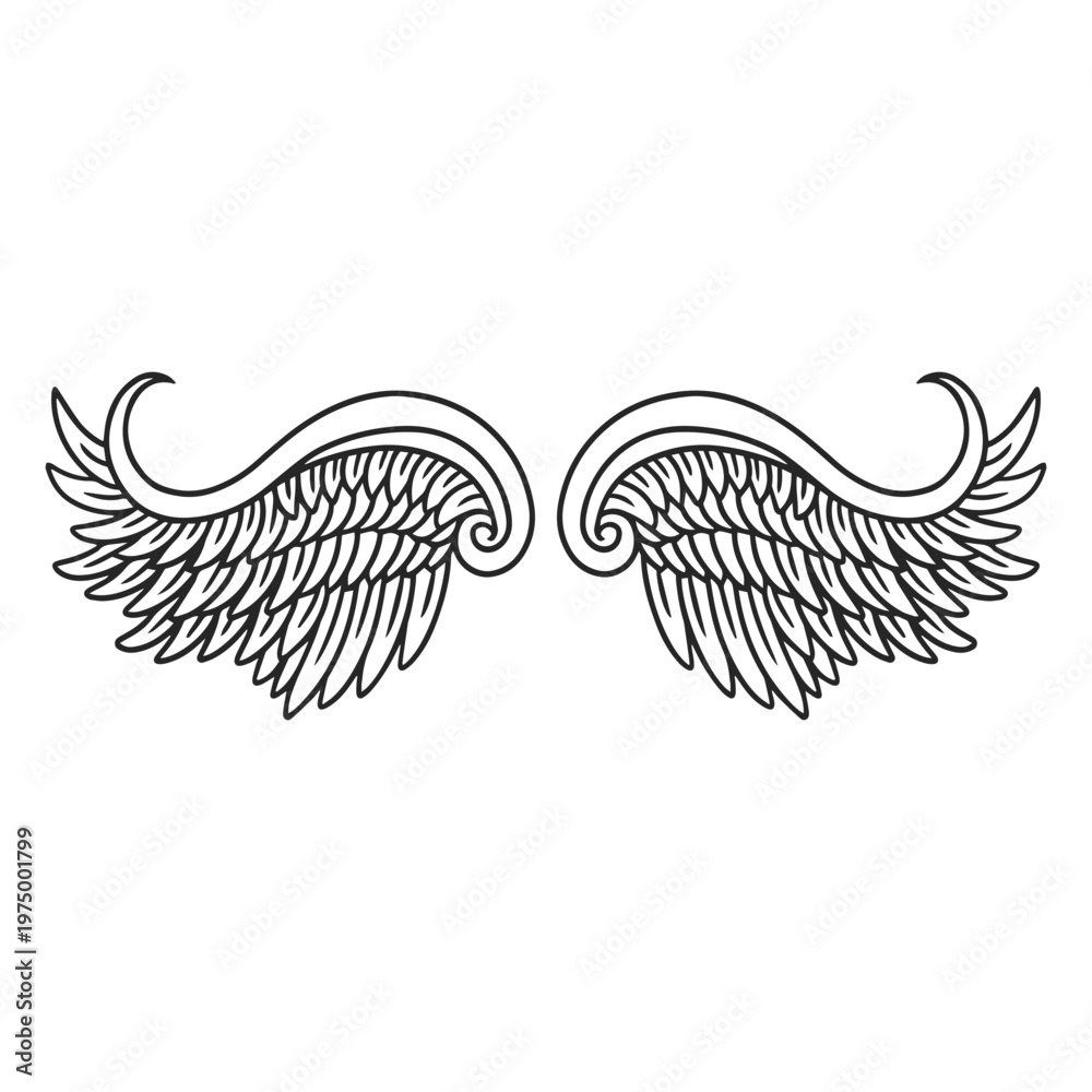 Fototapeta premium Arched angel wings
