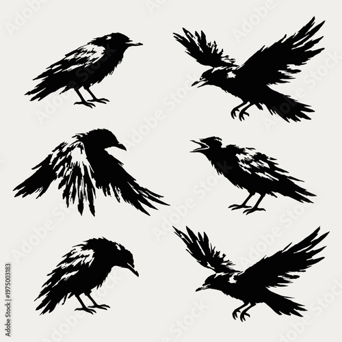 Black crows and ravens silhouettes set. Vector hand drawn ink sketch of flying and sitting birds isolated on white background