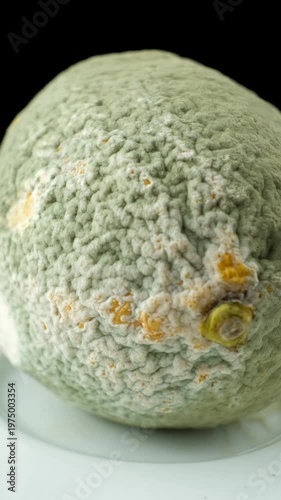 Wallpaper Mural Spoiled fruit texture with fungal mold spores Torontodigital.ca