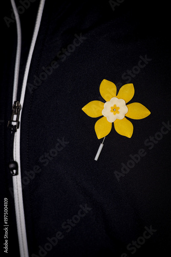 Jonquille à la boutonnière, manteau noir, vertical