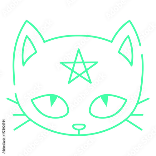 Cat with a star on his forehead