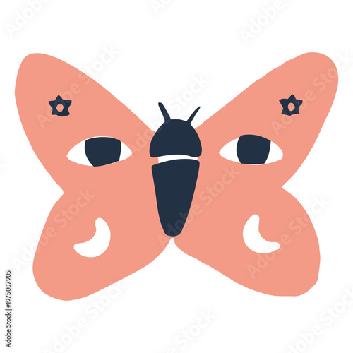 Butterfly with vibrant wings