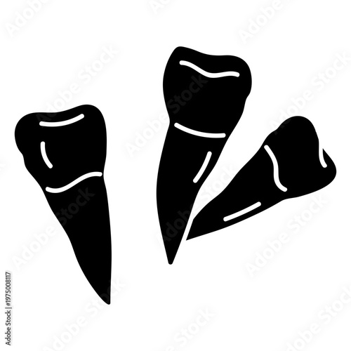 Premolar teeth