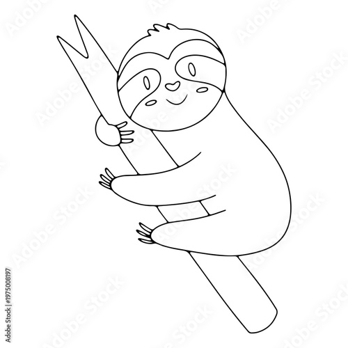 A lazy sloth lounging in a tree