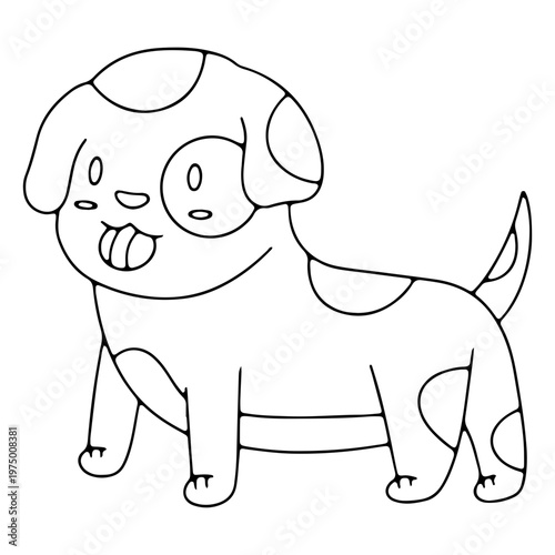 Adorable little dog ready for a walk