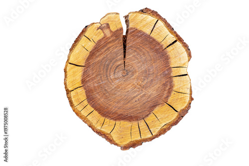 Edelholz Baumschnitt
