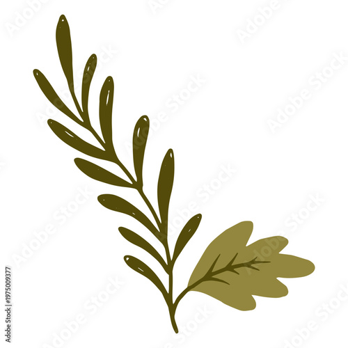 A greenish branch growing