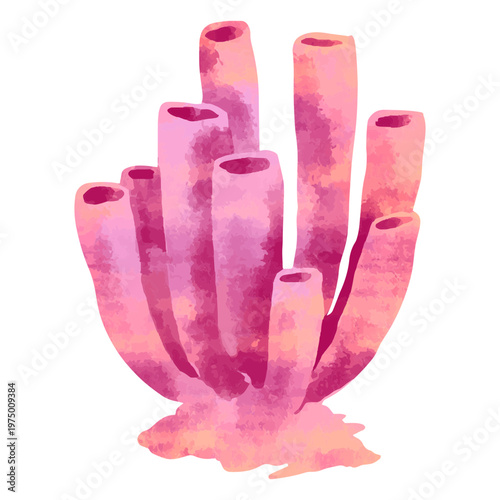 A beautiful marine sponge