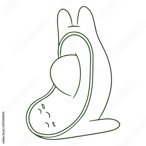 Relaxed mindful avocado