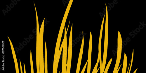 Golden grass field isolated white background. Golden-brown grass blades against a stark black background, varying in height and density, creating a natural, horizontal. 