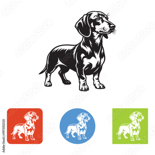 Vintage dachshund dog vector illustration, black and white wiener dog silhouette, retro pet breeder logo icons, standing sausage dog mascot
