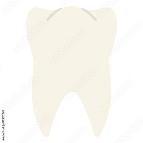 A close-up of a molar tooth