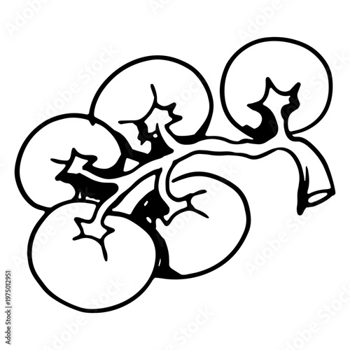 Freshly picked cherry tomatoes ready to be cooked into a soup