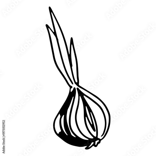 Garlic to prepare soup