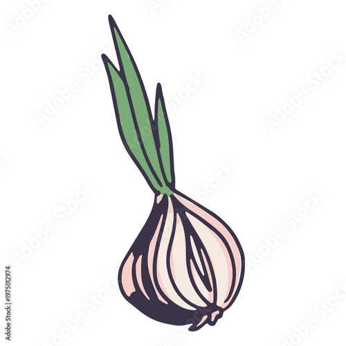 Perfect ingredients for preparing a delicious soup