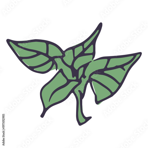 Aromatic herbs for a soup