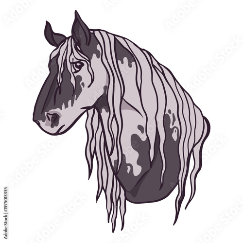 An elegant horse head