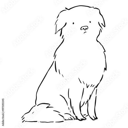 Cute dog with an expectant look