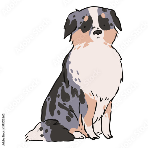 A sitting shepherd dog