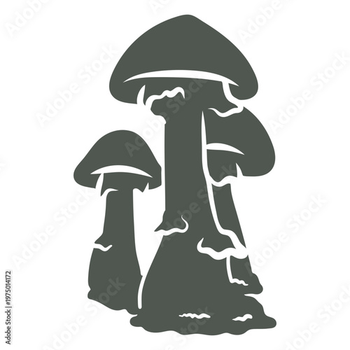 Foraging for mushrooms silhouette