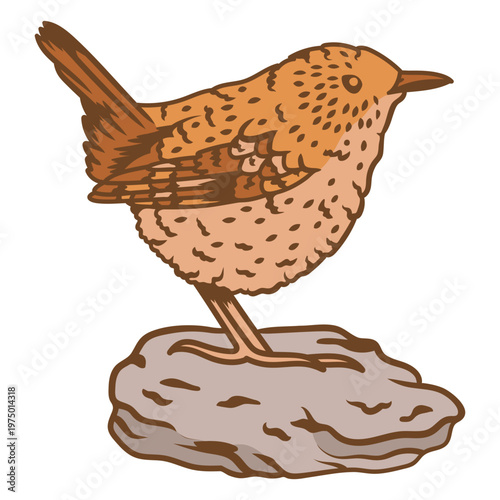 Exquisite bird illustration