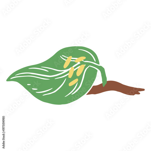 Butterfly cycle design