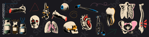 Halftone medical cutout set.  Collection of  biology collage elements.