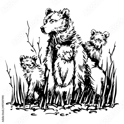 Group of bears in the forest