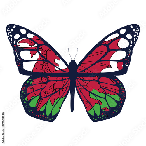 Splendid butterfly with amazing colorful wings