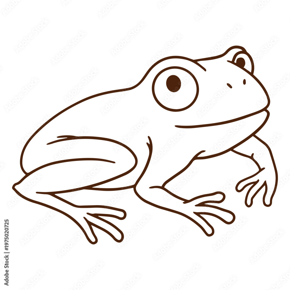 Fototapeta premium Brown frog