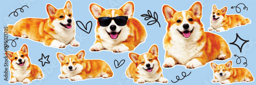 Halftone pop art dot dog corgi pet animal pose sitting lying sunglasses cute face tongue vector illustration