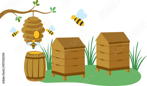  Honey Bee Farming Illustration