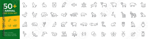 Animal line icon set featuring wildlife, domestic pets, zoo creatures, sea life, birds, and insects, suitable for nature, biology, and educational concepts.