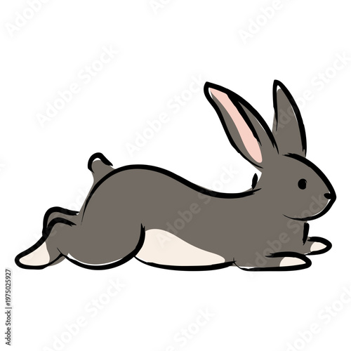 Gray rabbit laying down