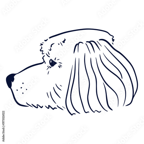 Black and white illustration of a dog's head