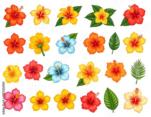 A vibrant, colorful collection of tropical hibiscus flowers and leafy green foliage arranged against a white backdrop