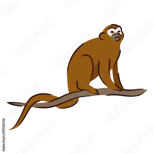 Fototapeta Brown monkey sitting on a branch