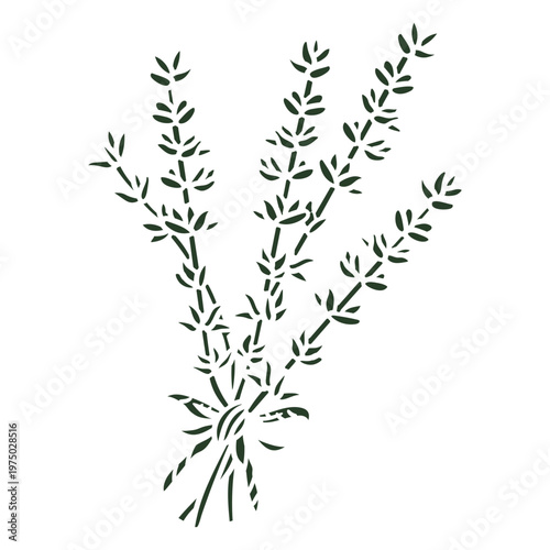 Bunch of rosemary