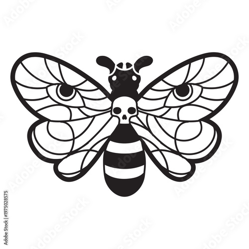 Black and white image of a moth