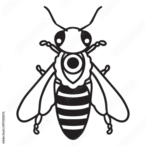 Black and white image of a bee