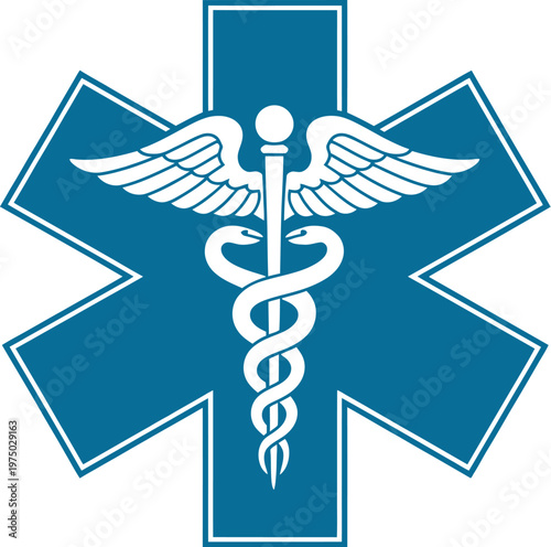 Essential medical emblem, emergency services vector icon, critical healthcare response, urgent assistance and patient care, medical field and situations illustration