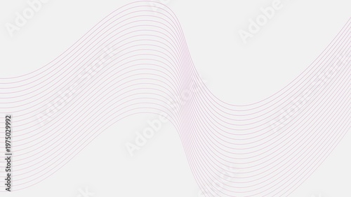 Abstract pink color wave curve lines on white background 4k illustration.